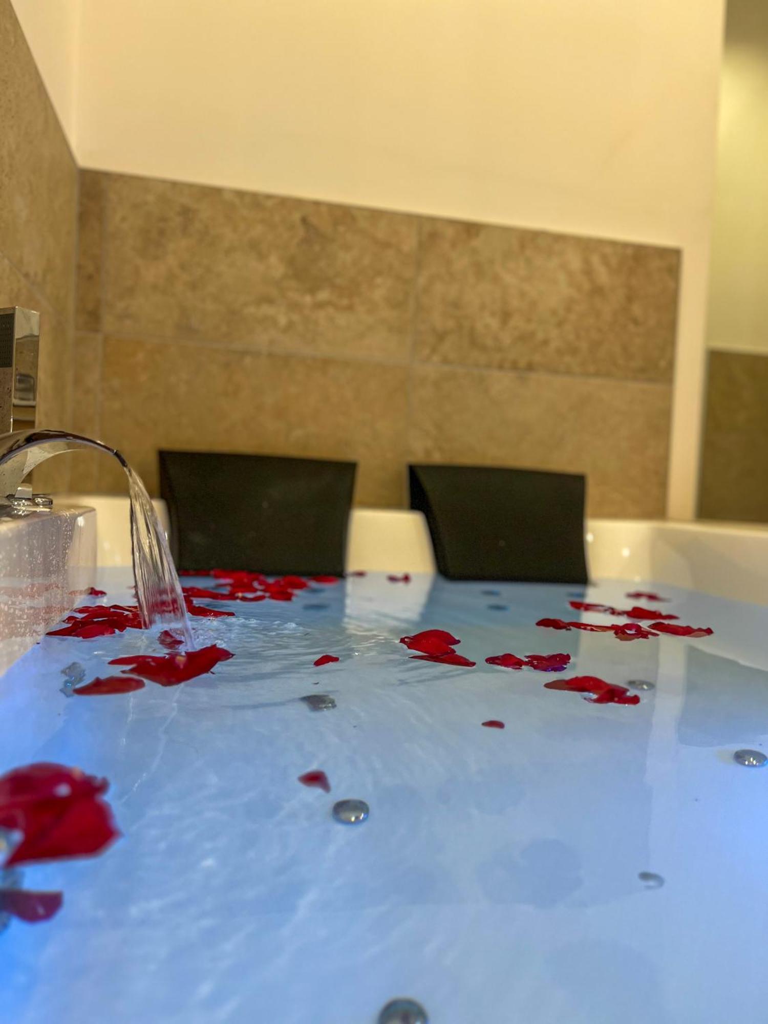 דירות סן-אטיין Bibemus Casa Maja - Baignoire Balneo - Parking - Terrasse מראה חיצוני תמונה